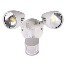 Neriah 2 Light LED Security Light with Sensor