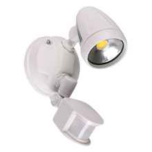 Neriah LED Security Light with Sensor