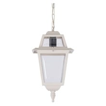 Zorelle Outdoor Pendant Light