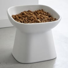 11.5cm Tower Ceramic Pet Bowl
