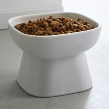8cm Tower Ceramic Pet Bowl