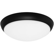 Lancer LED Oyster Light