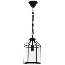 Maurice Metal & Glass Pendant Light
