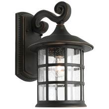 Bronze Shivani Outdoor Wall Light