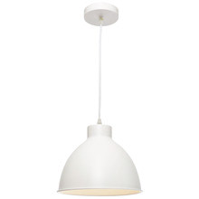 Nichole Steel Pendant Light