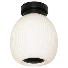 Carlson Batten Fix Light