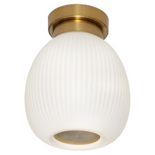 Carlson Batten Fix Light