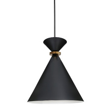 Darrion 25cm Pendant Light