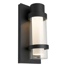 Raphael Outdoor Wall Light