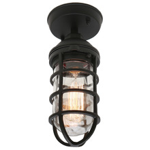 Jewel Outdoor Ceiling Light
