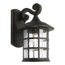 Bronze Shivani Outdoor Wall Light