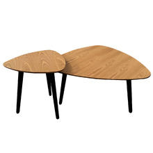 2 Piece Amato Nesting Coffee Table Set