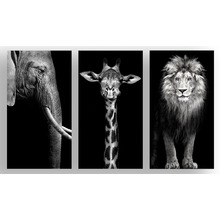 The Finest African Photographic Art Print Triptych (Set of 3)
