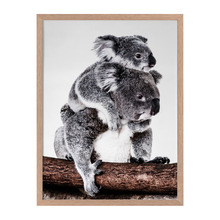 Mama Bear Framed Printed Wall Art