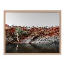 By The Billabong Framed Printed Wall Art