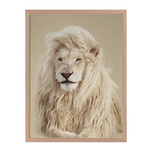 Lion King Framed Printed Wall Art