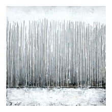 Silver Fog Canvas Wall Art