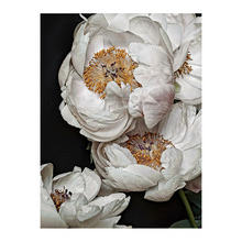 Clair de Lune Canvas Wall Art