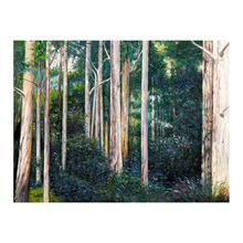 Eucalypt Canvas Wall Art