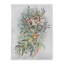 Gumnut Canvas Wall Art