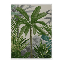 Las Palmas II Canvas Wall Art