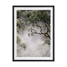 Misty Gum Tree Framed Printed Wall Art