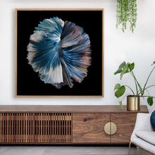 Zeta Canvas Wall Art