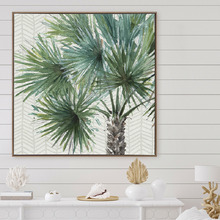 Date Palm II Canvas Wall Art