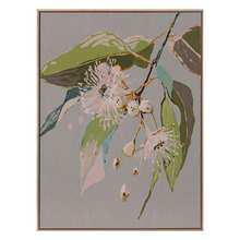 Neutral Flowering Gum II Canvas Wall Art