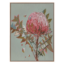 Sage Waratah Canvas Wall Art