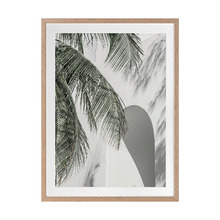 Palm Shadows Printed Wall Art