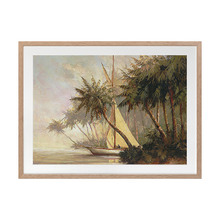 Bay of Palms Printed Wall Art