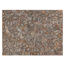 Ngapa Jukurrpa Water Dreaming Printed Wall Art