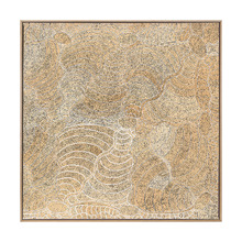 Janganpa Jukurrpa III Printed Wall Art