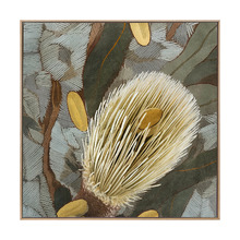 Wild Bottlebrush II Framed Canvas Wall Art