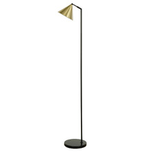 155cm Hopkin Iron & Brass Floor Lamp