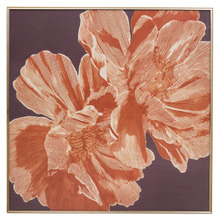 Peony Study Framed Canvas Wall Art