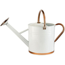 9L Terence Watering Can
