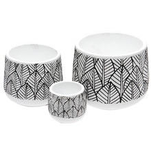 3 Piece Botanical Bliss Ceramic Planter Set