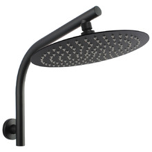 Round Gooseneck Rain Shower Arm & Head