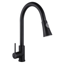 Wide Rounded Euro Pull-Out Kitchen Sink Mixer Tap