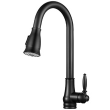 Rounded Euro Pull-Out Kitchen Sink Mixer Tap