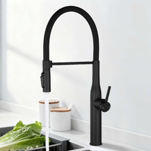 Quintessa Magnetic Pull-Down Filtered Kitchen Sink Mixer