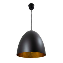 Egg Pendant Light