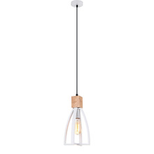 Black Lowther 1 Light Iron Pendant