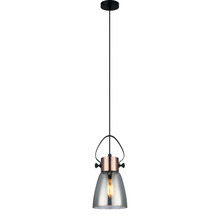 Copper Eden 1 Light Iron & Glass Pendant