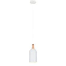 Black Chapel 1 Light Iron & Wood Pendant