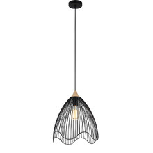 Beck 1 Light Scandal Iron & Wood Pendant