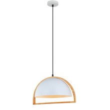 Black Ehen 1 Light Iron Pendant