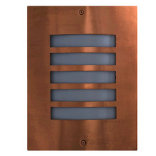 Ned Copper Outdoor Wall Light